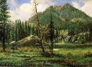 Albert Bierstadt Sierra_Nevada_Mountains oil painting picture wholesale